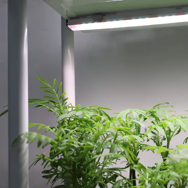 Self-Watering Planter - Передвижная вертикальная трехуровневая система для выращивания