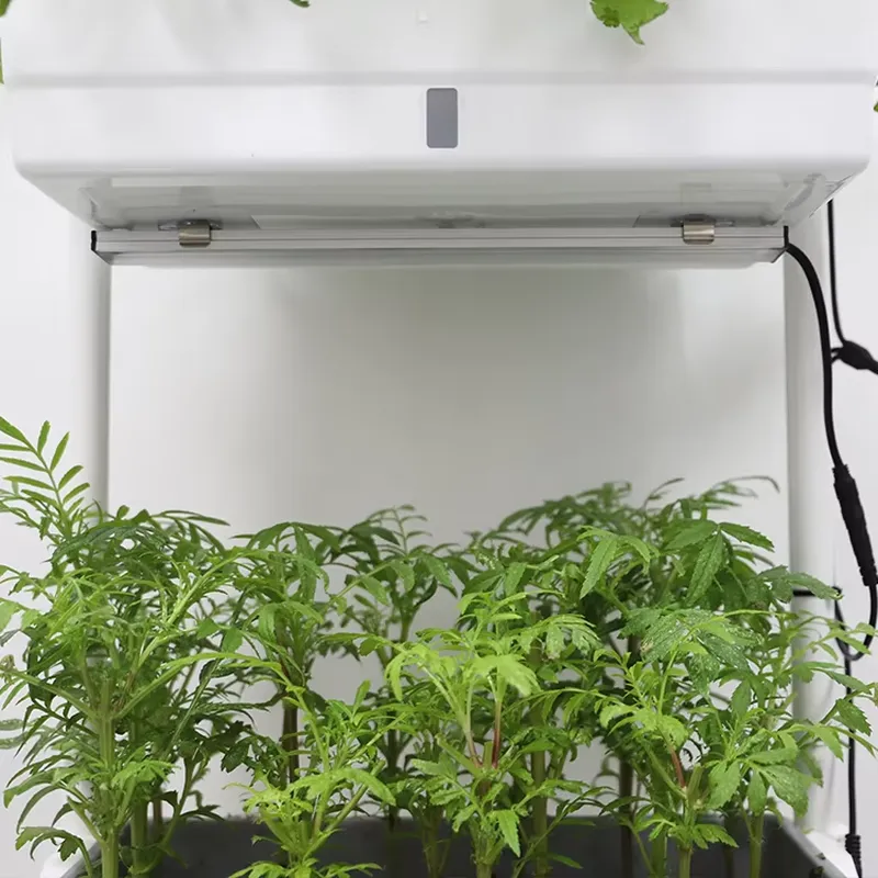 Передвижная вертикальная треху – обзор и цена Self-Watering Planter