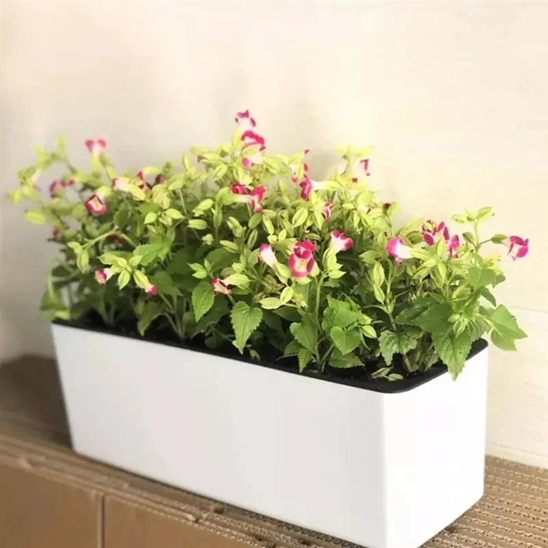 Прямоугольный ленивый цветочны – обзор и цена Automatic Plant Waterer