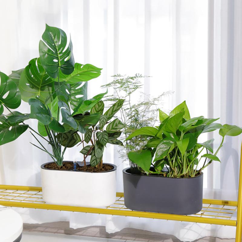 Комнатный горшок для растений  – обзор и цена Automatic Plant Waterer