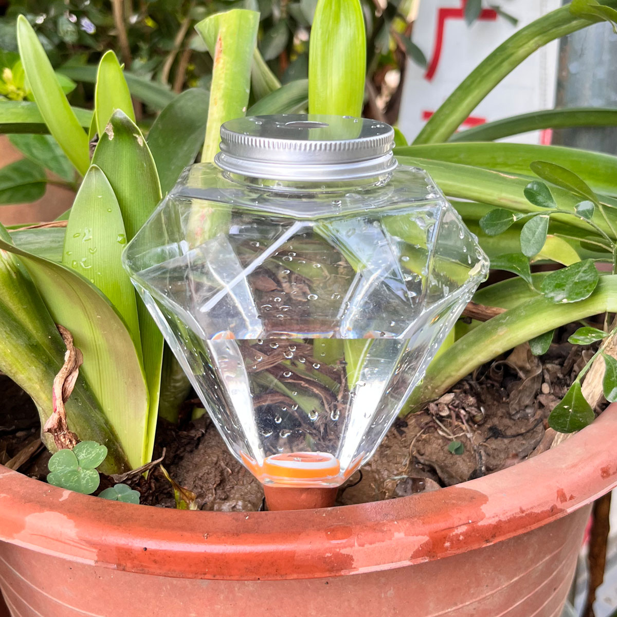 1 шт. Милый пластиковый автома – обзор и цена Automatic Plant Waterer